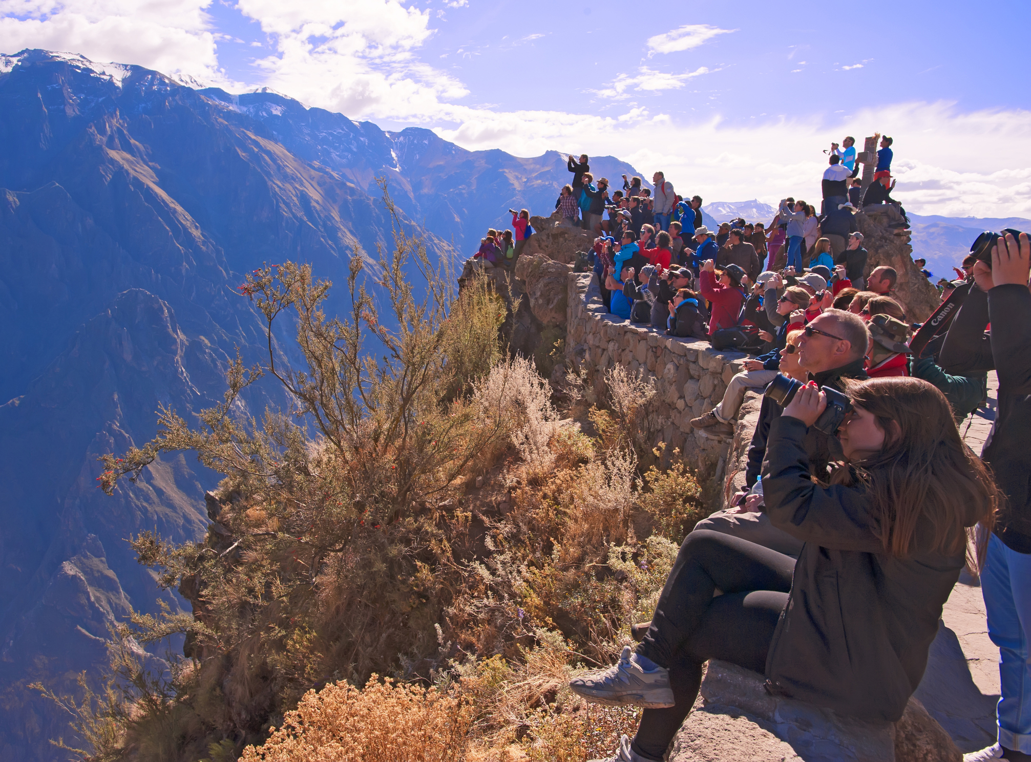 Cañón del Colca