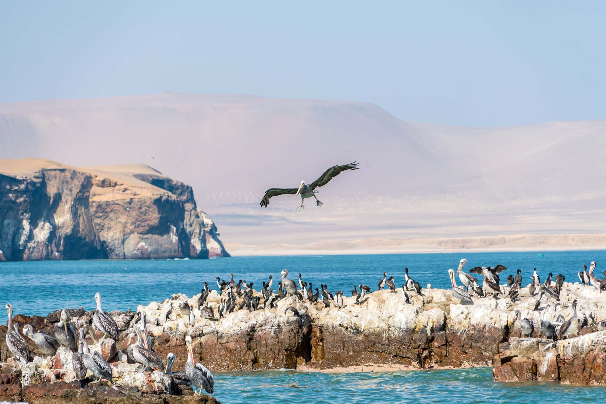 Lugares turísticos de Paracas