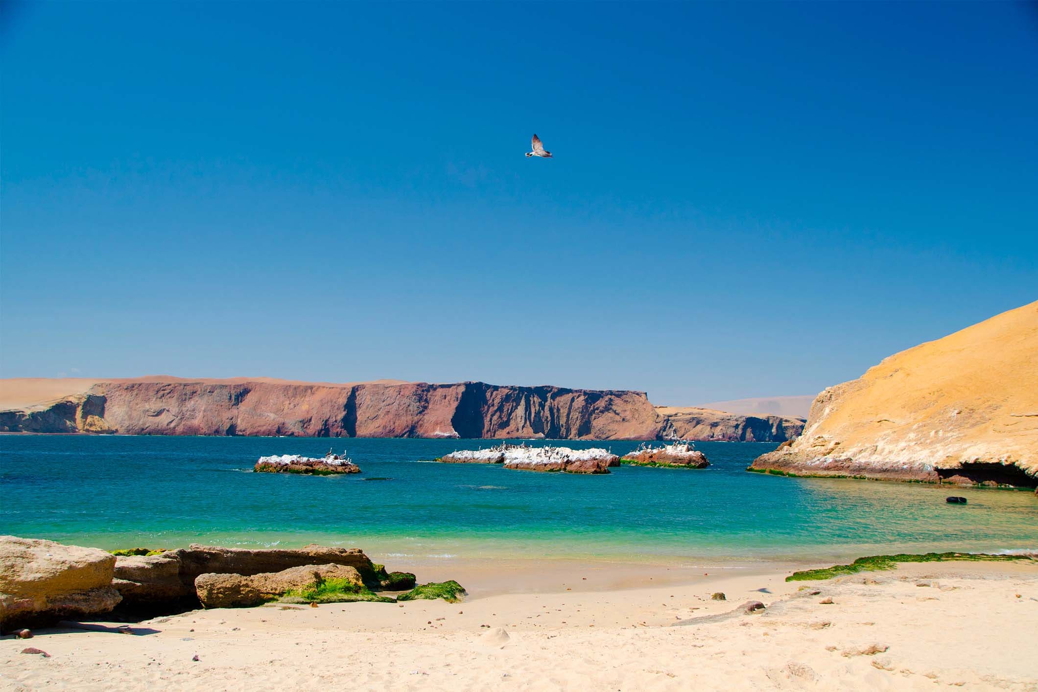 Playa Lagunillas Paracas