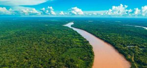 viaje a moyobamba y tambopata