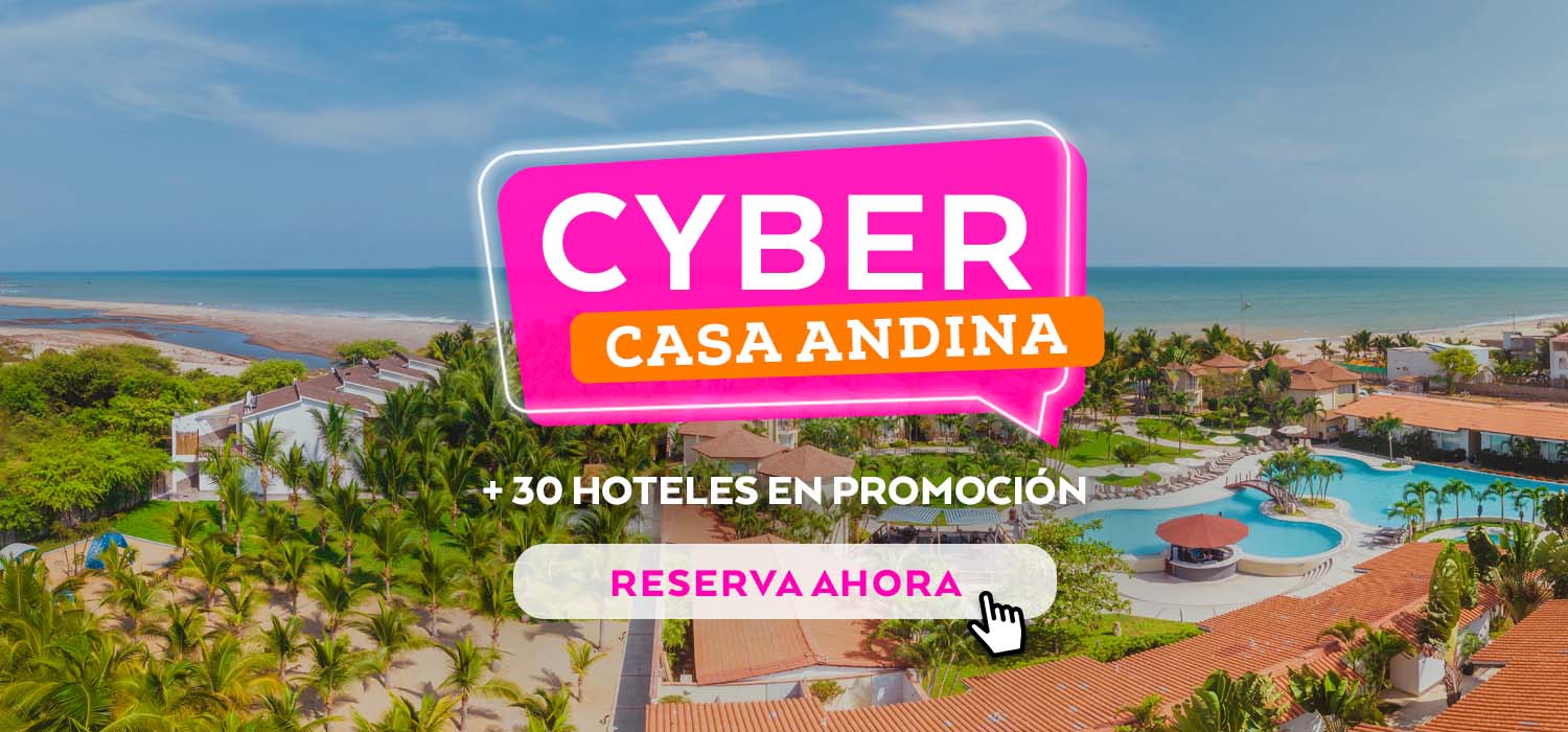Ofertas Cyber Casa Andina