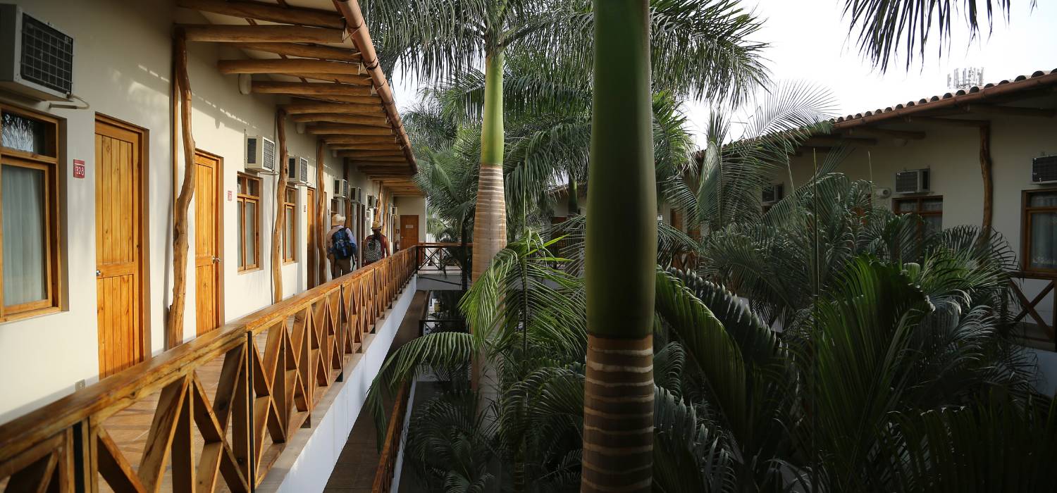 Guía de Hoteles en Nazca