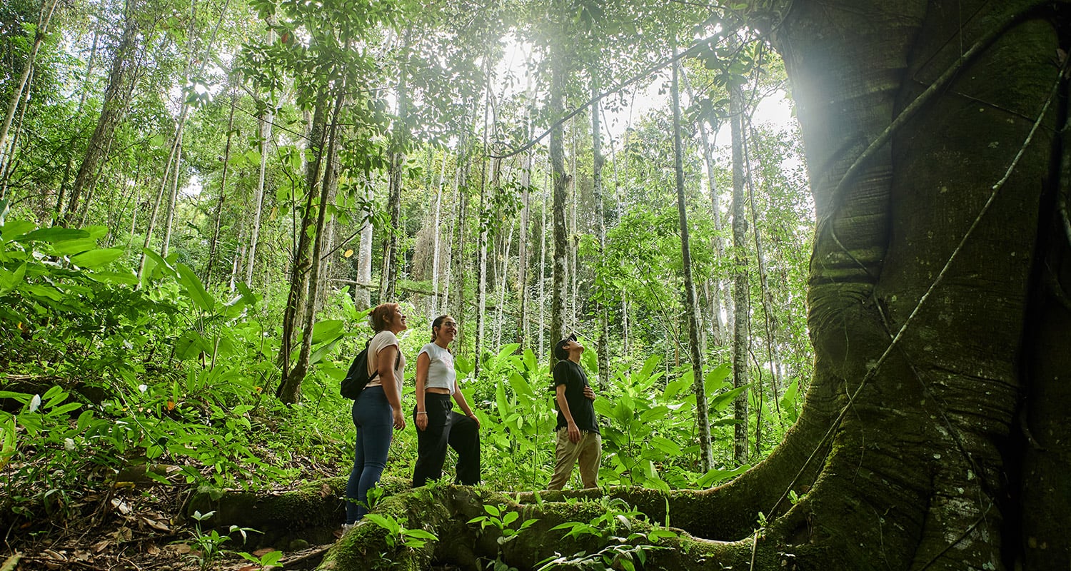Paisajes naturales y lugares turísticos de Chanchamayo